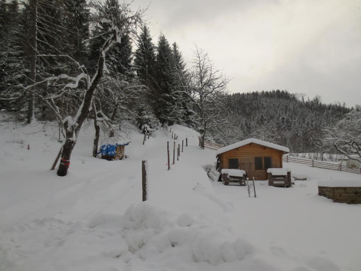 Landhaus Ziegelstadel Виндишгарстен Экстерьер фото